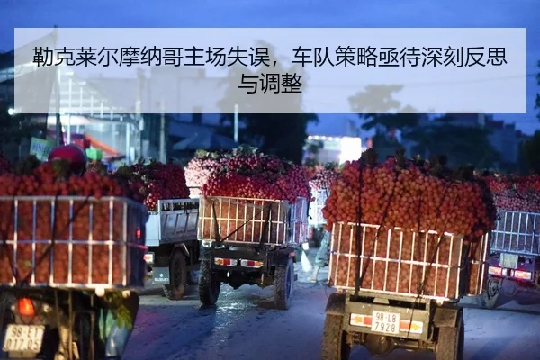 lei-ke-lai-er-mo-na-ge-zhu-chang-shi-wu-che-dui-ce-lve-ji-dai-shen-ke-fan-si-yu-tiao-zheng-2-127.jpg
